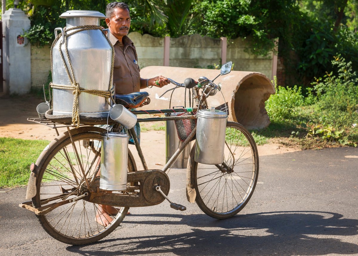 Fresh Milk